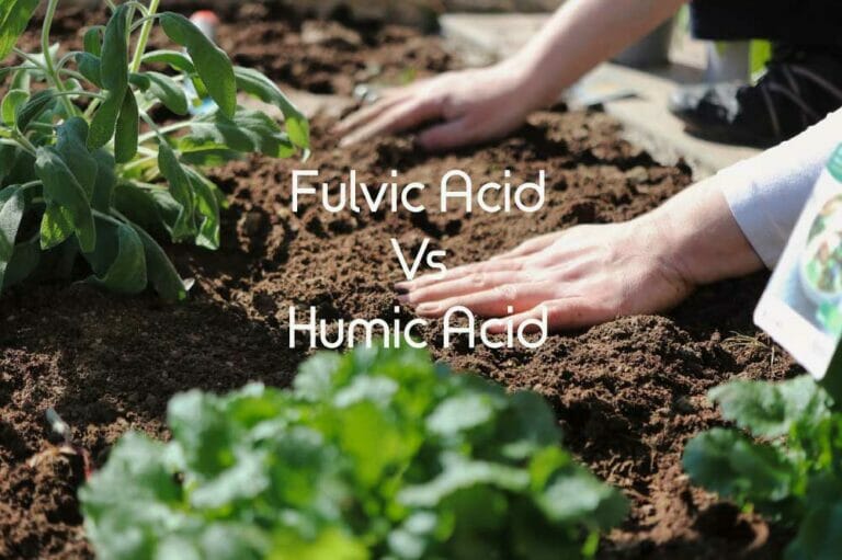 fulvic acid vs humic acid