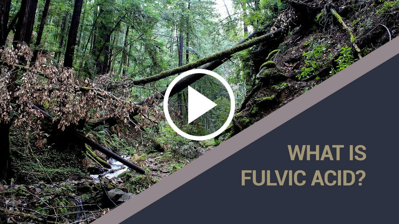 What is fulvic acid?
