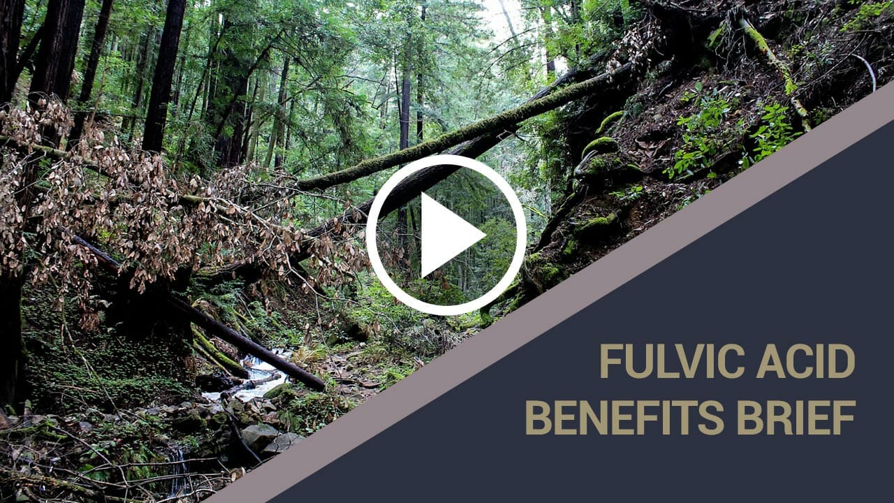 Benefits of Fulvic Acid